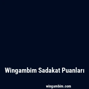 Wingambim Sadakat Puanları
